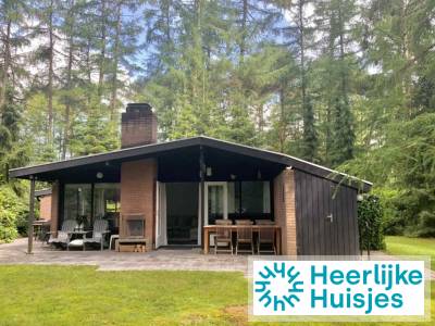 Modern 6-persoons vakantiehuis op een vakantiepark nabij Ommen