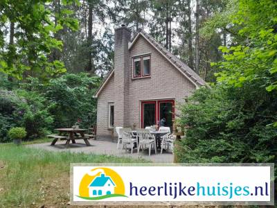 Mooi 6 persoons vakantiehuis in het bos bij Norg