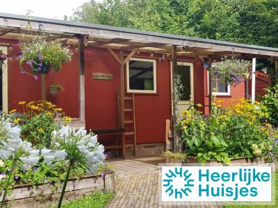 Vierpersoons chalet in het bos, op het drie provinciepunt Drenthe, Friesland en Overijssel