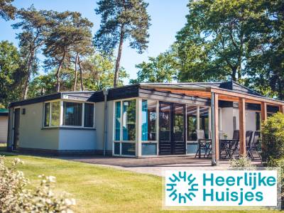Modern ingericht 6-persoons vakantiehuis nabij Voorthuizen op de Veluwe