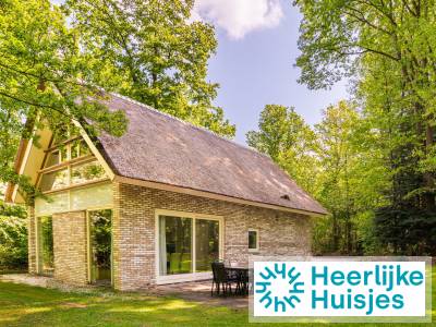Wellnessvilla voor 4-personen met sauna op vakantiepark bij Ruinen