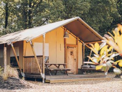 Safaritent | 6 personen