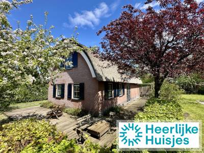 Rietgedekt vakantiehuis met speelhuisje in de tuin voor 6 personen in Gasselte