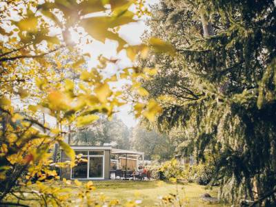 Boterbloem Wellness Chalet | 4 personen