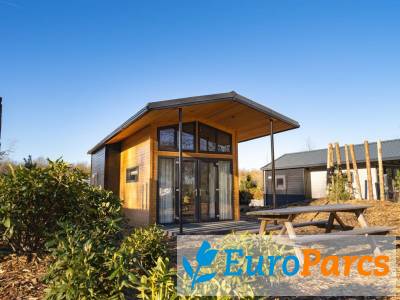 Tiny Lodge 4