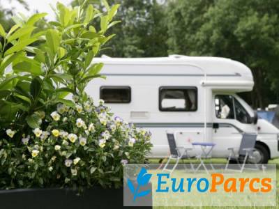 Kampeerplaats Camperplaats comfort - EuroParcs Molengroet