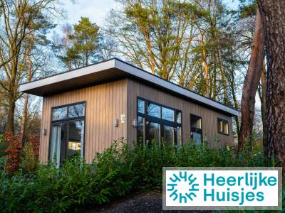 Tiny House voor 4 personen op vakantiepark de Rimboe in Hoenderloo op de Veluwe.