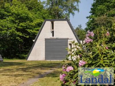 Comfort Classic Sauna 4