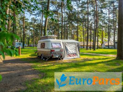 Kampeerplaats Comfort L
