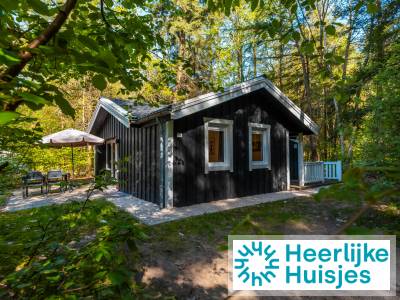 Slapen tussen de bomen: een knus 4 persoons vakantieverblijf in Drenthe!