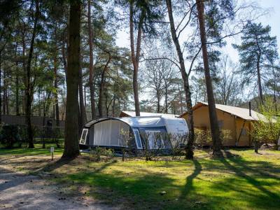 Kampeerplaats Comfort