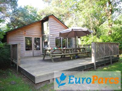 Glamping family lodge 10