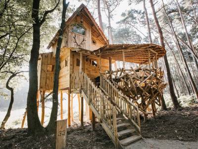 Tree House 3