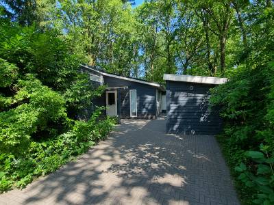 Dotterbloem Chalet | 6 personen