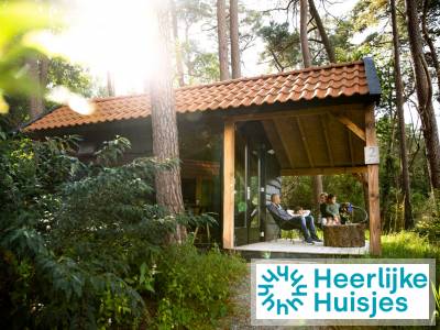 Knus 4-persoons Tiny House met veranda aan de bosrand op kindvriendelijk Drents park