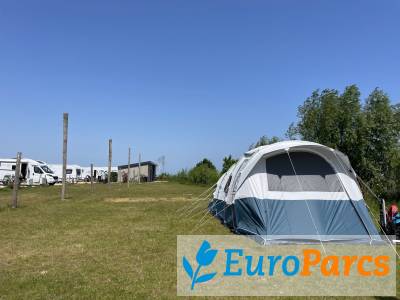 Kampeerplaats Kampeerplaats Standaard Tent - EuroParcs Enkhuizer Strand