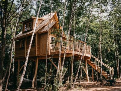 Tree House 2