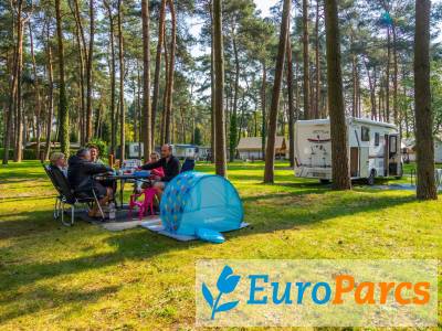 Kampeerplaats Kampeerplaats Standaard - EuroParcs Hoge Kempen