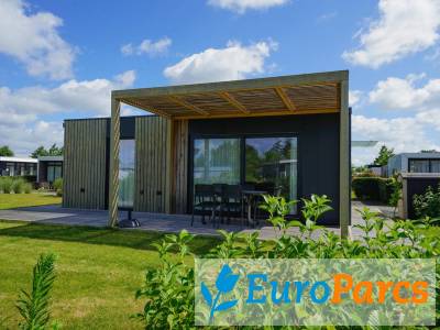 Domus 4