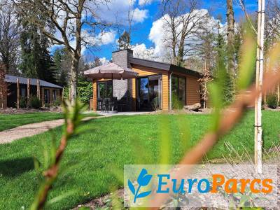Chalet Hackfort Wood 6 - EuroParcs De Utrechtse Heuvelrug