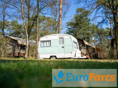 Kampeerplaats Kampeerplaats Standaard - EuroParcs De Zanding
