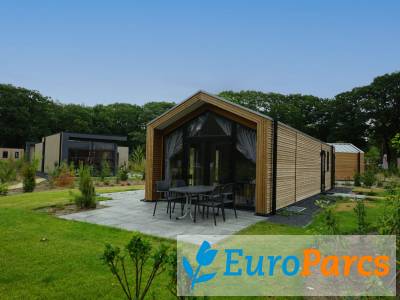 Chalet Forest Lodge 4 - EuroParcs De Zanding