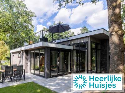 Modern 4 persoons vakantiehuis met airco, sfeerhaard en een dakterras op de Veluwe