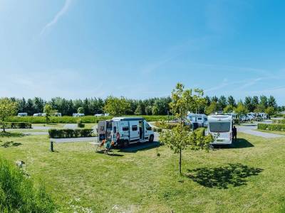 🚐 Camperpark Drive-in