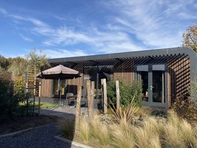 Modus Wellness 2