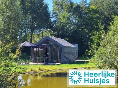Gezellig 4 persoons Tiny House in IJhorst nabij de Weerribben