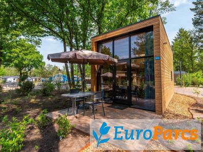 Tiny House 2