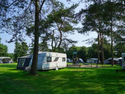 Kampeerplaats Comfort