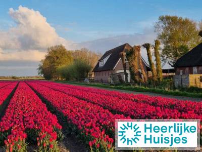 Landelijk gelegen 4 persoons appartement nabij Callantsoog