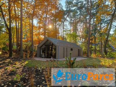 Chalet Forest Lodge 4 - EuroParcs Beekbergen