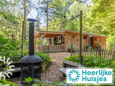 Een sfeervolle 4-persoons boslodge met veranda en zit-kuil in Emst, midden in de natuur.