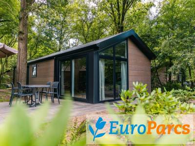 Chalet Velthorst Hottub 4 - EuroParcs Ruinen