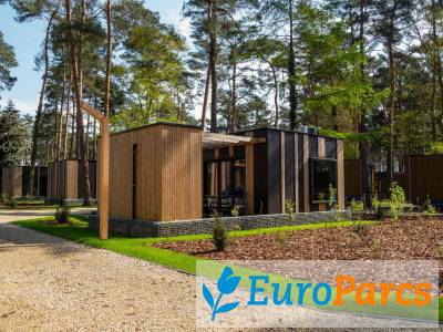 Forest Cottage 4