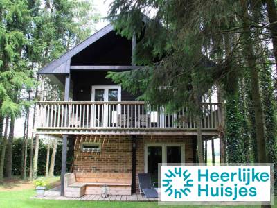 Prachtig 4 persoons vakantiehuis tussen de bomen met weids uitzicht in Erica, Drenthe