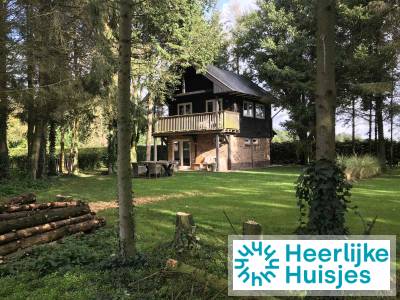 Uniek 4 persoons vakantiehuis tussen de bomen met weids uitzicht in Erica, Drenthe