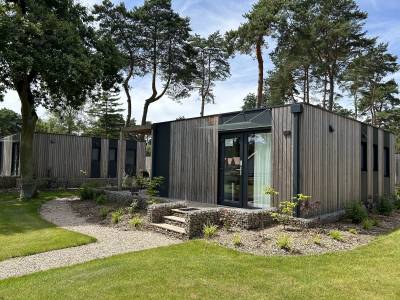 Domus 4