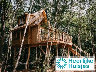 Boomhut voor 4 personen met hottub op vakantiepark met klimbos en midgetgolf