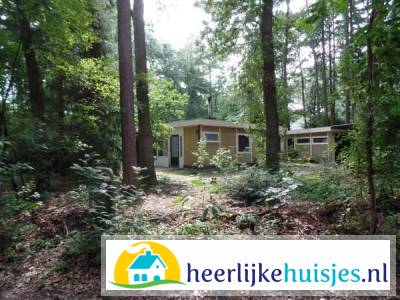 Leuke 4 persoons bungalow op rustige locatie in het bos in Drenthe