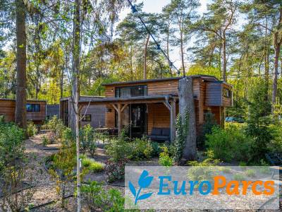 Tiny House Community 12