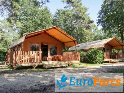 Lodgetent 5